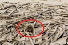Người phụ nữ sống sót kỳ diệu trong vụ lở đất kinh hoàng ở Peru (Video)