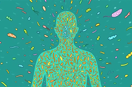 Hệ vi sinh vật trong cơ thể: ‘Cơ quan nội tạng’ bị lãng quên