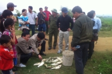 Vỡ đập bùn thải: Người dân được đền bù ban đầu 80.000 đồng/kg cá chết