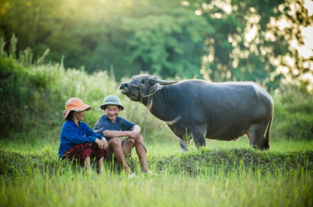 Đời người cần sự quan tâm thấu hiểu hơn là chỉ trích đánh giá