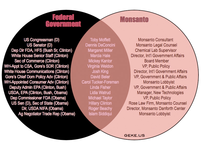 Rất nhiều quan chức trong chính phủ Mỹ đã từng là nhân viên hoặc làm việc cho Monsanto, kể cả Hillary Cliton (nguồn: geke.us)