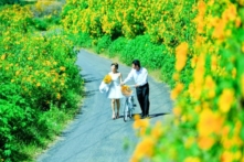 Đà Lạt: Xứ sở mộng mơ