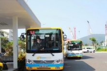 Đà Nẵng: Ra mắt phần mềm Danabus tra cứu thông tin xe bus