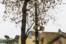 Hà Nội giữ toàn bộ loa huyện và 5-10 loa mỗi phường