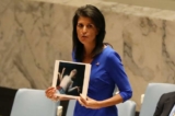 nikki haley