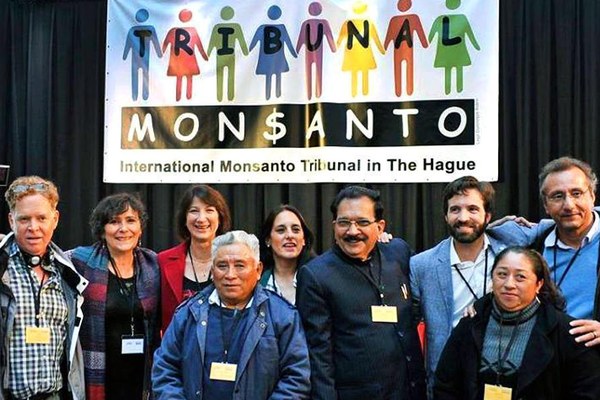 Tòa kết luận hoạt động thương mại đối với cây trồng biến đổi gien của Monsanto gây ảnh hưởng đến các quyền về lương thực và y tế vì đã ép buộc nông dân phải chấp nhận các phương thức canh tác xa rời truyền thống. (ảnh: EcoWatch)