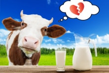 Lợi ích của sữa chỉ là tuyên truyền?
