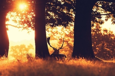 Vị thầy thuốc Đông y 112 tuổi: ‘Cảnh giới cao nhất của dưỡng sinh là dưỡng tâm’