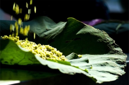 Nghề cổ đất Việt – Kỳ 5: Cốm làng Vòng – Hương cốm gọi mùa thu