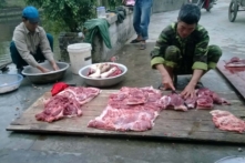 Chiến dịch giải cứu thịt lợn vắng bóng Bộ Công thương