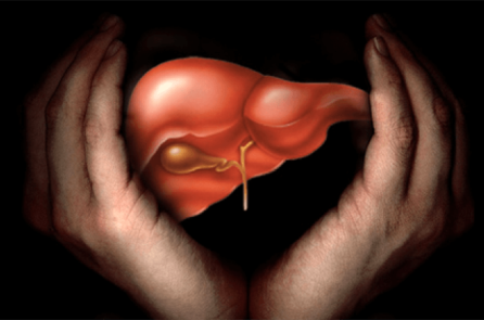 Gốc của sức sống chính là gan: Dưỡng gan như thế nào?