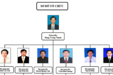 Điều động PGĐ ‘dư thừa’ làm lãnh đạo sở, phòng, ban