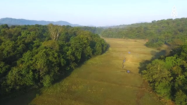 dat hoang bien thanh rung (2)