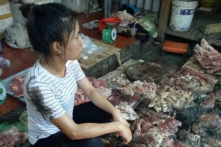 Khởi tố vụ án, bắt khẩn cấp 2 phụ nữ hắt chất bẩn vào người bán thịt lợn