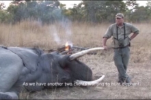 Một thợ săn ‘khét tiếng’ bị voi đè chết trong khi đi săn