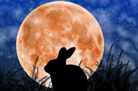 Mặt Trăng: 7 bí ẩn và 1 giả thuyết khó tin