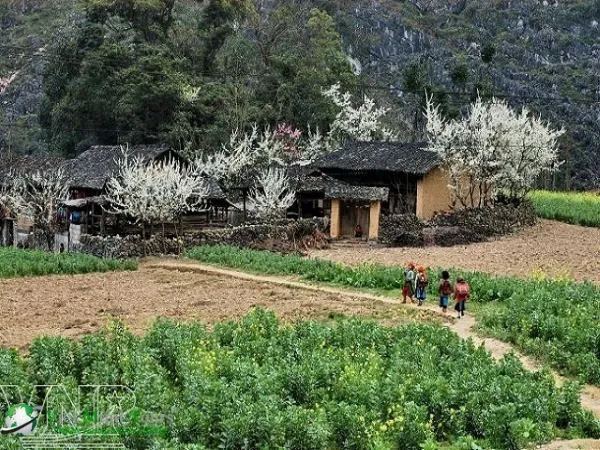 Lai Châu: Đường lên cổng trời Tây Bắc