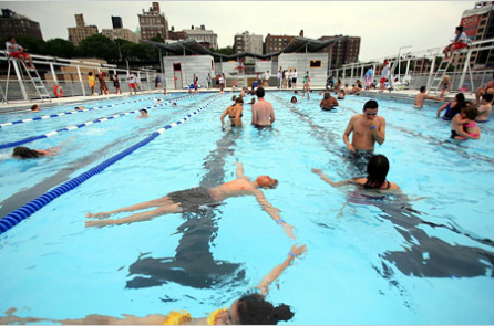 Bể bơi công cộng – một ‘toilet cỡ lớn có màu xanh’