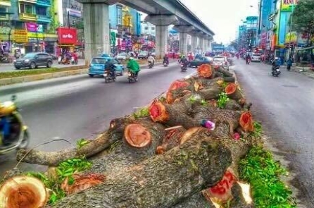 ‘Khủng hoảng niềm tin’ ở Việt Nam, đâu là gốc rễ?