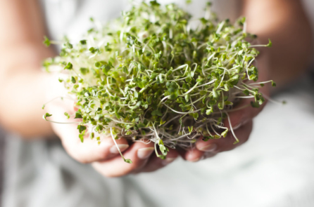 Nghiên cứu: Có thể giảm 1/3 số ca tử vong do ung thư nhờ các thực phẩm này