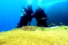 Văn phòng Chính phủ yêu cầu rà soát dự án nhận chìm bùn thải xuống biển Bình Thuận