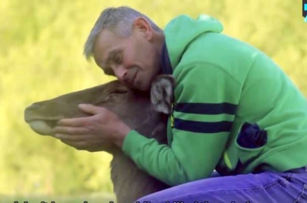 Người thợ săn từ bỏ việc sát sinh nhờ nuôi dưỡng 1 chú nai con