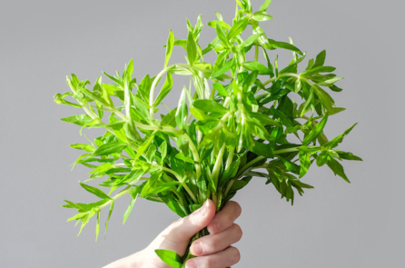 16 công dụng ‘trời cho’ từ món rau ngổ