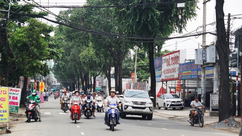 them-mot-hang-cay-o-duong-pham-ngu-lao-phai-di-doi-de-xay-cau-vuot4