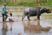 Báo cáo GII 2017: Việt Nam tăng 12 bậc về chỉ số đổi mới sáng tạo, nhưng còn kém về kinh nghiệm R&D