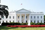 white house