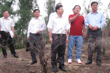 Kết luận thanh tra: 39/41 dự án sử dụng rừng ở Phú Yên trái quy định