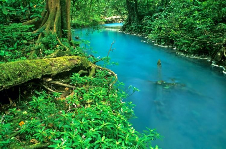 Dòng sâu mà ngọc lam Rio-Celeste