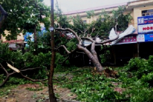 Bão số 2 gây thiệt hại lớn tại Nghệ An, Hà Tĩnh