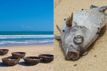 Ấn tượng Việt Nam: Tuần 10/7 – 16/7