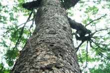“Đúng & Sai”