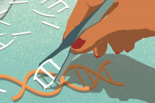 Chúng ta đang bước vào kỷ nguyên chỉnh sửa gen với hàng loạt thử nghiệm CRISPR