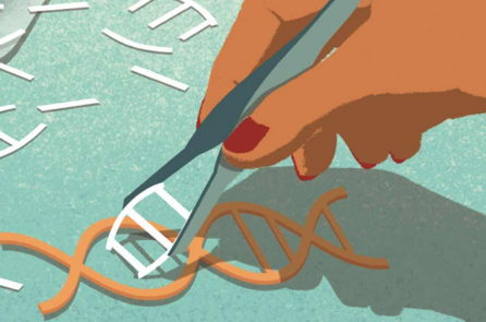 Chúng ta đang bước vào kỷ nguyên chỉnh sửa gen với hàng loạt thử nghiệm CRISPR