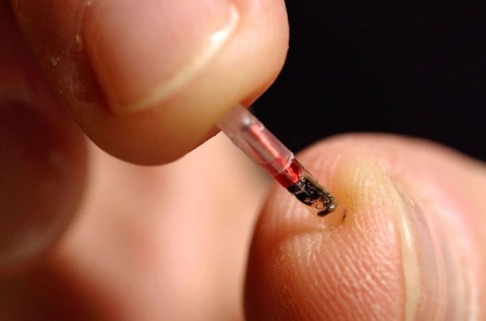 Mỹ: Công ty đề nghị cấy microchip nhỏ bằng hạt gạo vào người nhân viên