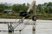 Hàng nghìn cột điện gãy đổ trong cơn bão số 2
