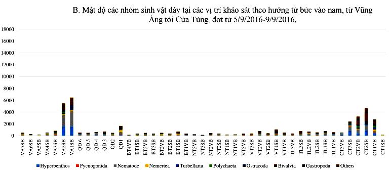 hien trang moi truong bien 4 tinh mien trung sinh vat tang day 2