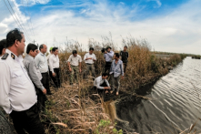 Không kê khai, trên 155.000ha tôm bị thiên tai hạn mặn không được hỗ trợ