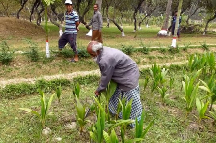 Người đàn ông kiên trì trồng hơn 17.500 cây xanh liên tục trong 48 năm