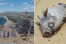 Ấn tượng Việt Nam: Tuần 3/7 – 9/7