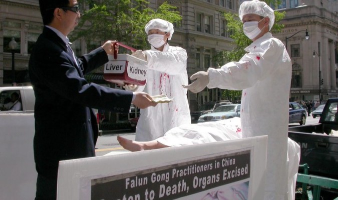 organ harvesting china