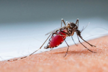 Dịch sốt xuất huyết tại miền Bắc tăng hơn 400% trong nửa đầu năm 2017