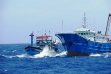 Tàu cá Bình Định bị tấn công trên biển, 4 thuyền viên bị bắn trọng thương