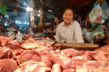 Thương lái Trung Quốc thu mua, giá lợn hơi tăng mạnh trở lại