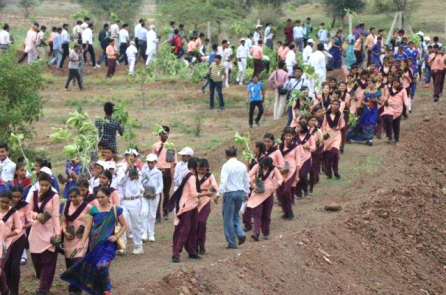 Ấn Độ lập kỷ lục thế giới: Trồng 66 triệu cây xanh chỉ trong 12 giờ