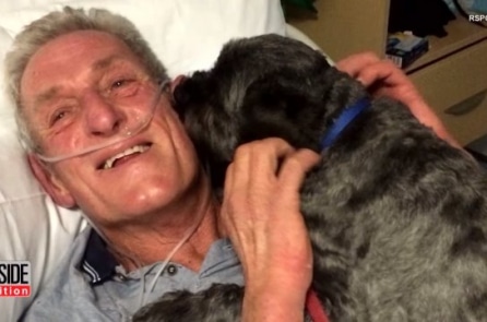 Chú chó sủa đánh thức chủ nhân đang hôn mê nhận được giải thưởng đặc biệt