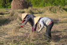 Cà Mau: Phê duyệt vợ Phó bí thư xã làm hộ cận nghèo, 2 lãnh đạo xã bị kỷ luật